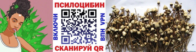 Галлюциногенные грибы Magic Shrooms  Тара 